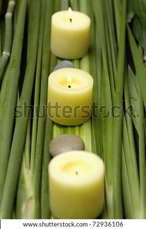 burning candle and stone on green spring plant