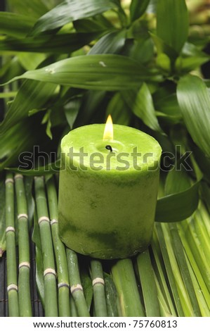 Green candles and bamboo grove with plant background