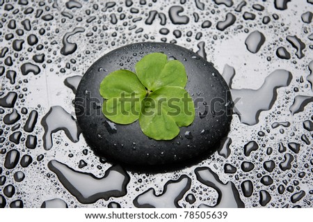 Three leafs clover on zen stone with water drops