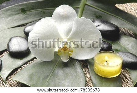 Beautiful orchid and stones with yellow candle on monstera plant