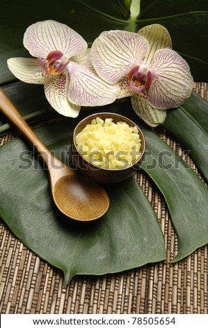 Sea salt bath in wooden bowl with orchid and stones on monstera plant