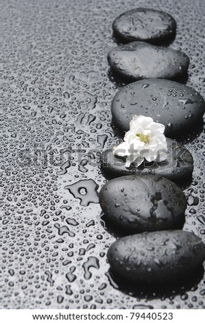 Still life with row of stones white flower in water drops