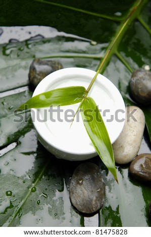 Zen stones and green leaf in bowl and stones on leaf