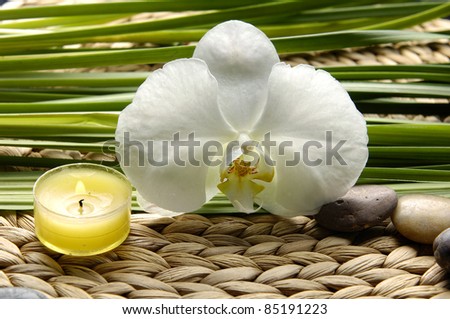 White orchid and green plant with candle on stick straw mat