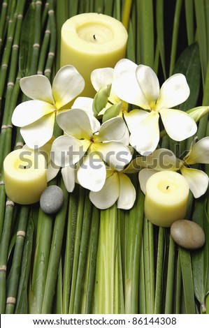 spa and wellness concept – frangipani and three candle on plant