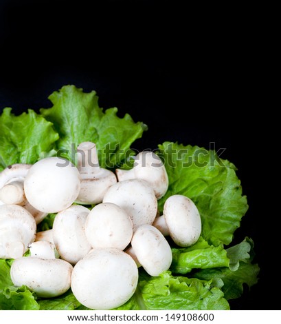 mushrooms on green lettuce leaves on a black background