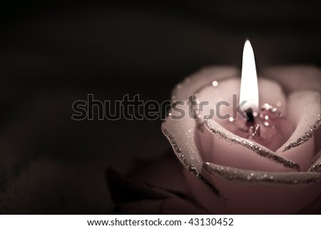 Burning candle in the form of roses in darkness.