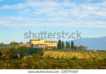 Typical Tuscan hill, with cypresses, olive trees and vineyards.