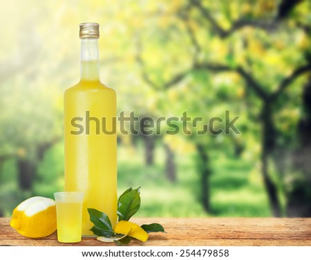 Italian alcoholic beverage, Limoncello on wooden table over lemon trees.