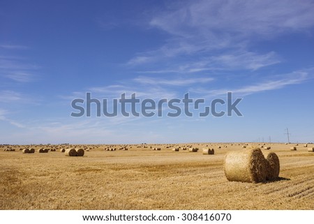 Hay bales on the field after harvest. Blue Sky