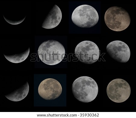 twelve Moon phases