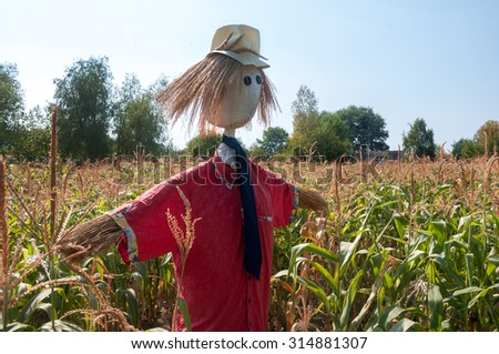 Old scarecrow in a cornfield, made form straw and  old clothing