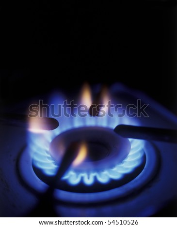Flame of burner of gas stove