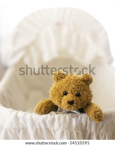 Stuffed Teddy bear in a Baby Bassinet