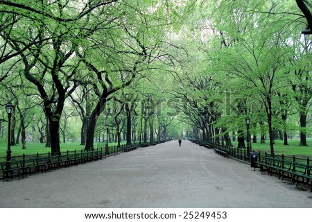 Spring day in Central Park, New York.
