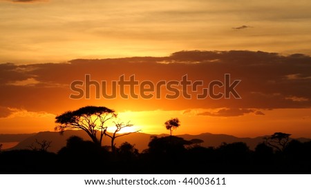 Savanna landscape at sunset