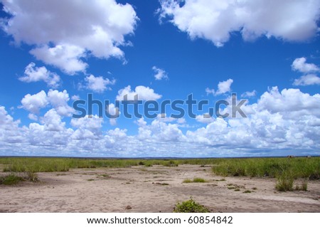 Savanna landscape under a blue cloudy sky