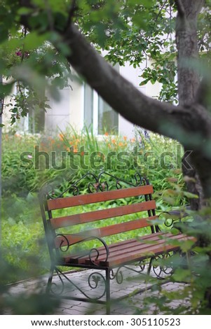 beautiful bench in the park in the shade of the leaves of a tree