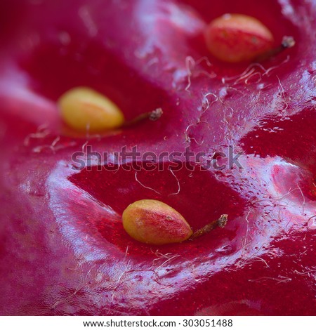 Super macro photo of strawberry surface with seeds and visible cells structure