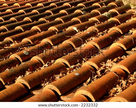 Roof tiles close-up. Colored by beautiful sunset light, covered with leaves.
