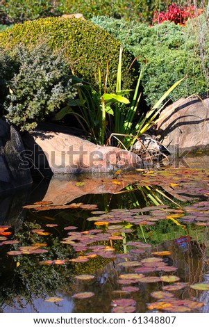 Japanese Senzui Water Garden with Reflections.  Adelaide Himeji Gardens.