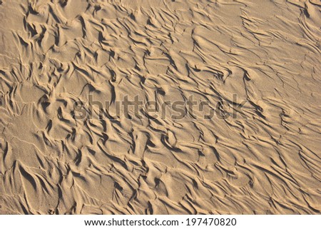 Waves of sand  formed by wind. Focus runs through the middle and falls off on the sides