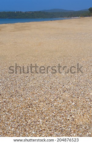 Background of sandy beach. Focus runs through the middle and falls off on the sides