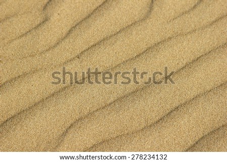 Waves of sand  formed by wind. Focus runs through the middle and falls off on the sides