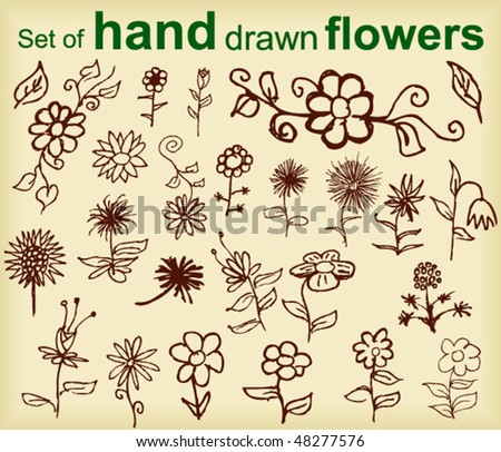 pictures of flowers to draw. Set of hand draw flowers