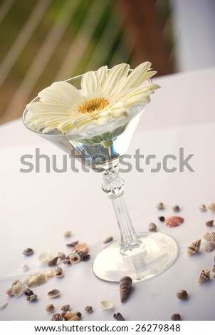 Daisy+flower+arrangements