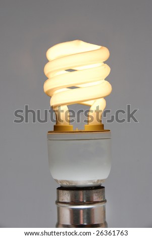 compact fluorescent energy saver bulb