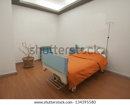 Hospital bed in a private ward ward with a plant