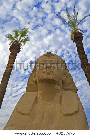 Sphinx framed by palm trees at Luxor Temple