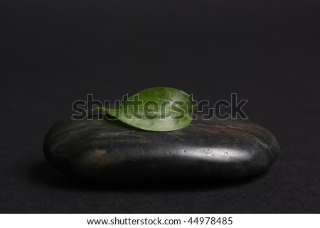 Small fresh green sheet and stones