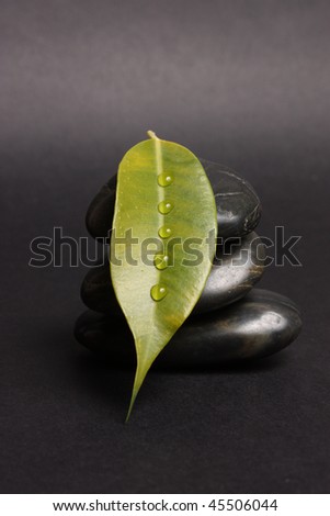 Green sheet with drops on stones