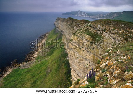 Dorset Cliffs