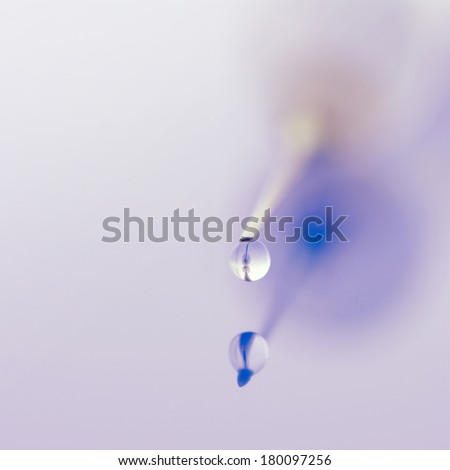 Extreme close-up of syringe with drop. Selective focus on needle point. Shallow DOF.