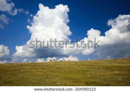 Cumulus clouds overhang mountain meadow.