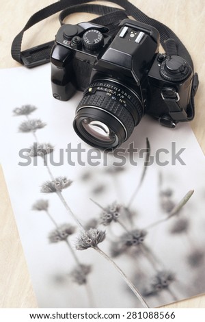 Vintage mechanical 35mm film photo camera SLR and monochrome picture of soft focus plant.