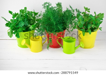 Bunches of flavoring greens in colorful metallic buckets and watering cans on white wood against white wall.