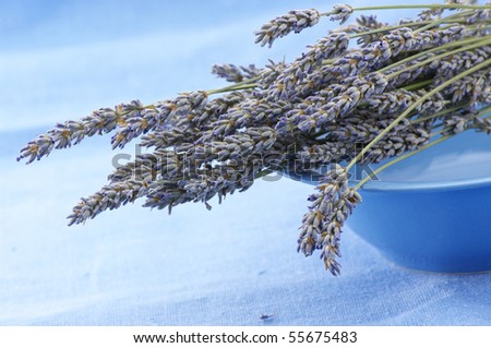 Bunch of dried lavender close-up and blue dish on blue linen cloth.