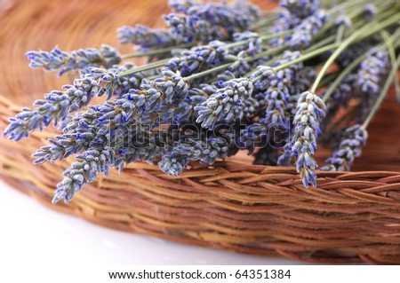 Bunch of dried lavender close-up in wicker basket.