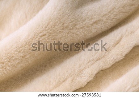 sheep fur texture