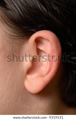 Kids ear\
\
Close up of anatomy of human ear.