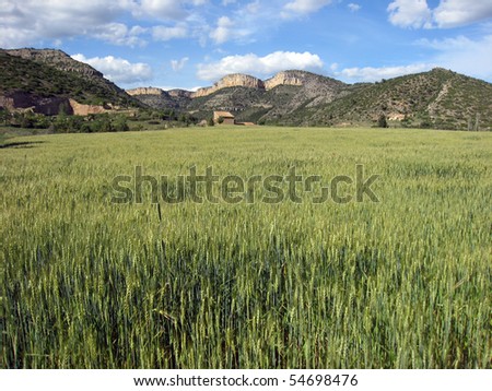 Rubielos de Mora country,  Gudar mountains, Teruel province, Aragon, Spain, Europe