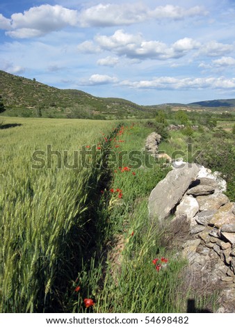 Rubielos de Mora country,  Gudar mountains, Teruel province, Aragon, Spain, Europe