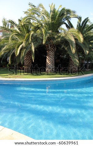 Swimming pool in a residential houses in Godella Valencia Spain