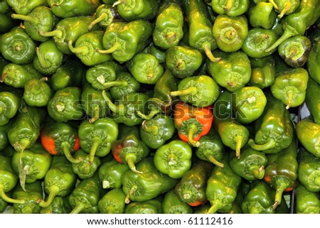 Green peppers La Boqueria food market in Barcelona Catalonia Spain Europe