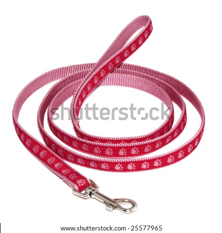 clipart dog leash. stock photo : Pink dog leash