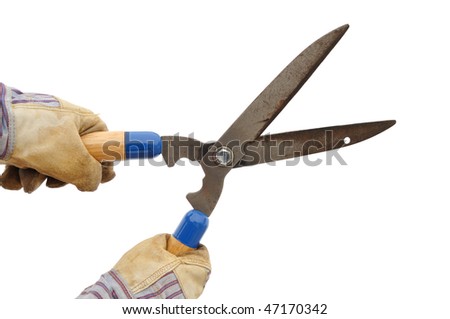 i went out early  Stock-photo-gardener-holding-a-hedge-trimmer-isolated-on-white-47170342